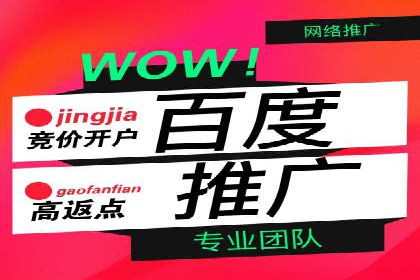 百度运营推广策略：成功案例解析